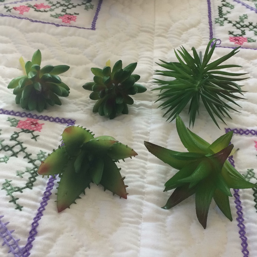 Fake Air Plants / Succulents
